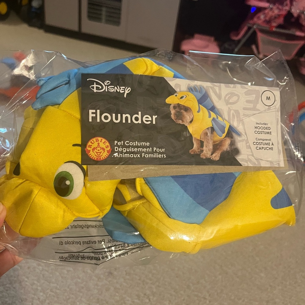 Flounder Dog Costume